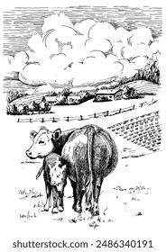 Illustration of domestic animals. Cow with calf. Line sketch converted to vector drawing.
