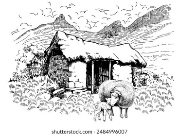 Illustration of domestic animals. Еwe with lamb. Line sketch converted to vector drawing.
