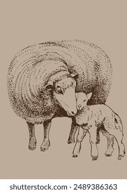 Illustration of domestic animals. Sheep with lamb. Line sketch converted to vector drawing.