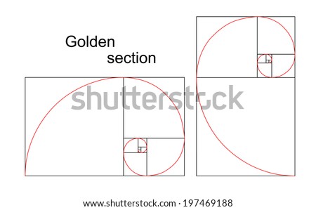 Illustration of double golden spiral (section, ratio, proportion), isolated on white background, vector, eps 8