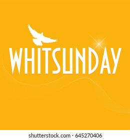  Illustration with  a dove silhouette: Christian holiday of Pentecost also known as Whitsun, Whitsunday, Whit Sunday or just Whit. Pigeon silhouette with text Whitsunday.