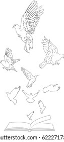ilustración con palomas volando sobre libro abierto aislado en fondo blanco