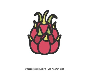 Illustration of dragon fruit icon (line drawing).