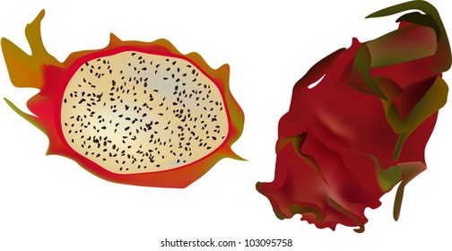illustration with dragon fruit isolated on white background