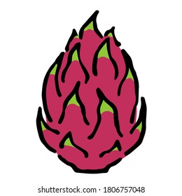 Illustration of Dragon fruit: Illustration like hand drawn illustration with ink and brush