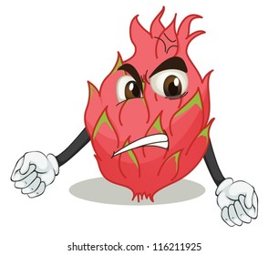 illustration of dragon fruit on a white background