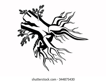 Illustration of the dragon sleeping on the tree roots