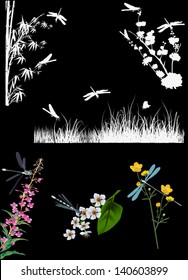 illustration with dragonflies and plants on black background
