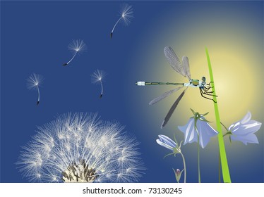 illustration with dragonfly and dandelion on blue background