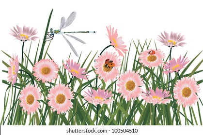 illustration with dragonfly and ladybirds on pink flowers