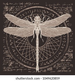 Illustration of a dragonfly on an abstract background of old papyrus or a manuscript with spots, circle, star, magical inscriptions and symbols. Vector banner in retro style