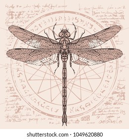 Illustration of a dragonfly on an abstract background of old papyrus or a manuscript with spots, circle, star, magical inscriptions and symbols. Vector banner in retro style