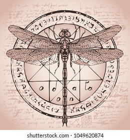 Illustration of a dragonfly on a circle with an octagonal star, magical inscriptions and symbols on the background of an old papyrus or a manuscript with spots. Vector banner in retro style