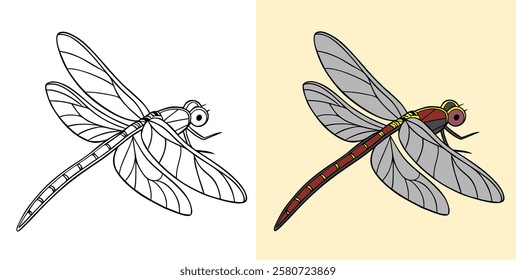 Illustration of a Dragonfly Outline and Its Colored Rendering Side by Side