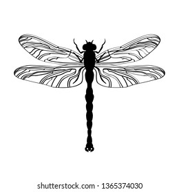Illustration of a dragonfly. Dragonfly silhouette. 