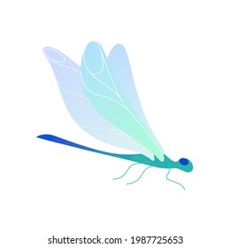 Illustration of dragonfly. Vector colorful print for prints, clothing, packaging, stickers.