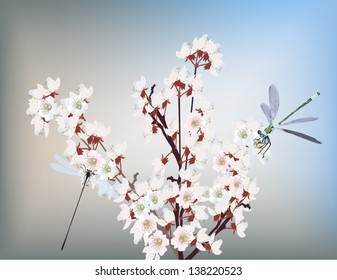illustration with dragonfly and white flowers