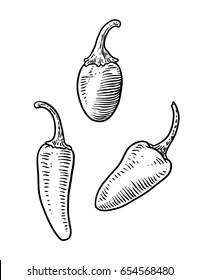 jalapeños illustration, drawing, engraving, ink, line art, vector