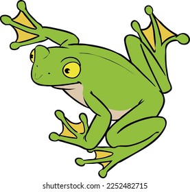 ilustración de rana 