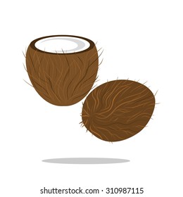 
the Illustration with drawing of an open coconut.