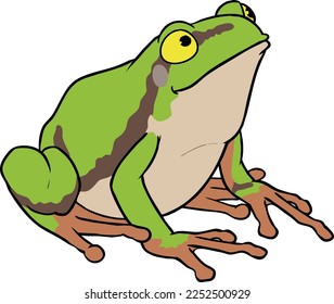 a illustration drawing of toad 