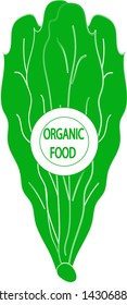 The illustration is drawn by hand in vector.Lettuce lettering organic food for food packaging, cosmetics,print for your business.Vector graphics.