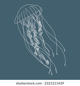 Illustration drawn contour jellyfish on a turquoise background. Print, postcard, tattoo	
