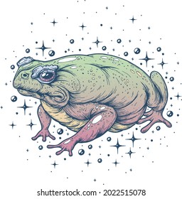 An illustration drawn with a pen and ink. Frog.