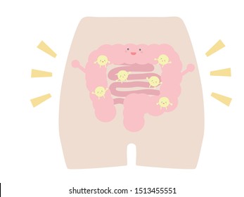An illustration drawn so that the intestinal environment can be explained easily.