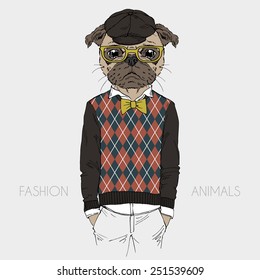 Illustration of dressed up pug doggy, hipster style