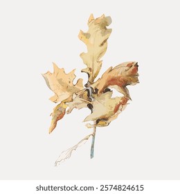 Illustration of a dried oak leaf with intricate details. The oak leaf is depicted in warm, earthy tones, showcasing its natural texture and shape. Vintage illustration isolated on white, vector.