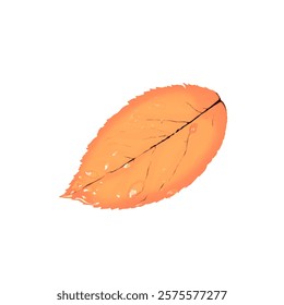 illustration of dry brown leaf icon without background