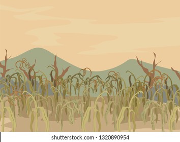 Illustration of Dry and Dying Corn Field