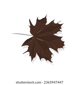 illustration of dry leaves in autumn.