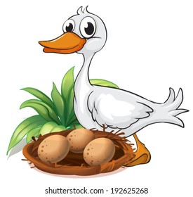 Illustration of a duck beside her nest on a white background