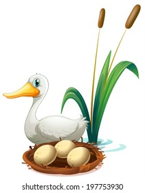 Illustration of a duck beside the nest on a white background