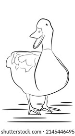 Illustration of a duck in black and white. Suitable for children coloring page