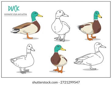 Ilustração de um pato exibido em múltiplas poses com contornos claros, enfatizando suas cores e características distintivas. Conceito de concepção animal