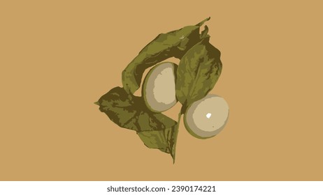 illustration duck eggs collect from farm products natural isolated brown background. Healthy eating concept - Top View