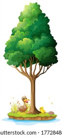 Illustration of a duck and her duckling under the tree on a white background