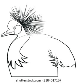 Illustration Of Duck Line Art