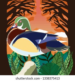illustration duck nature drawing vector