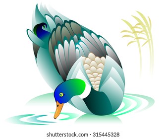Illustration of duck, vector cartoon image.

