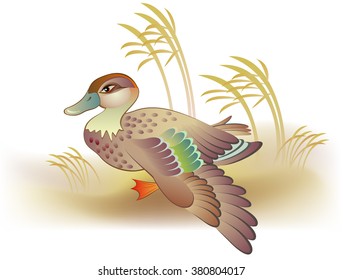 Illustration of duck, vector cartoon image.