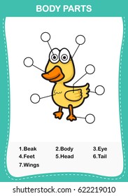 Illustration of duck vocabulary part of body,Write the correct numbers of body parts.vector
