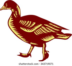 Illustration of a duck walking viewed from the side set on isolated white background done in retro woodcut style. 