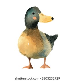 Illustration of a duck with yellow bill