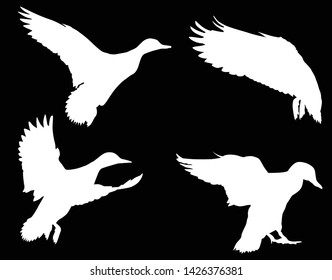 illustration with ducks isolated on black background