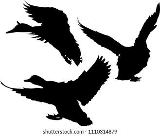 Black White Paint Draw Eagle Bird Stock Vector (royalty Free) 457192513