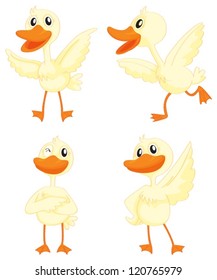 illustration of ducks on a white background